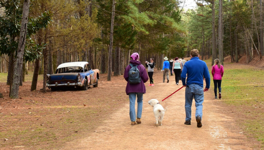 A group of hikers - including a man, a woman, and a small white dog - walks along a wide, level dirt path, passing the shell of an old racing car to the left. Pine trees grow overhead.